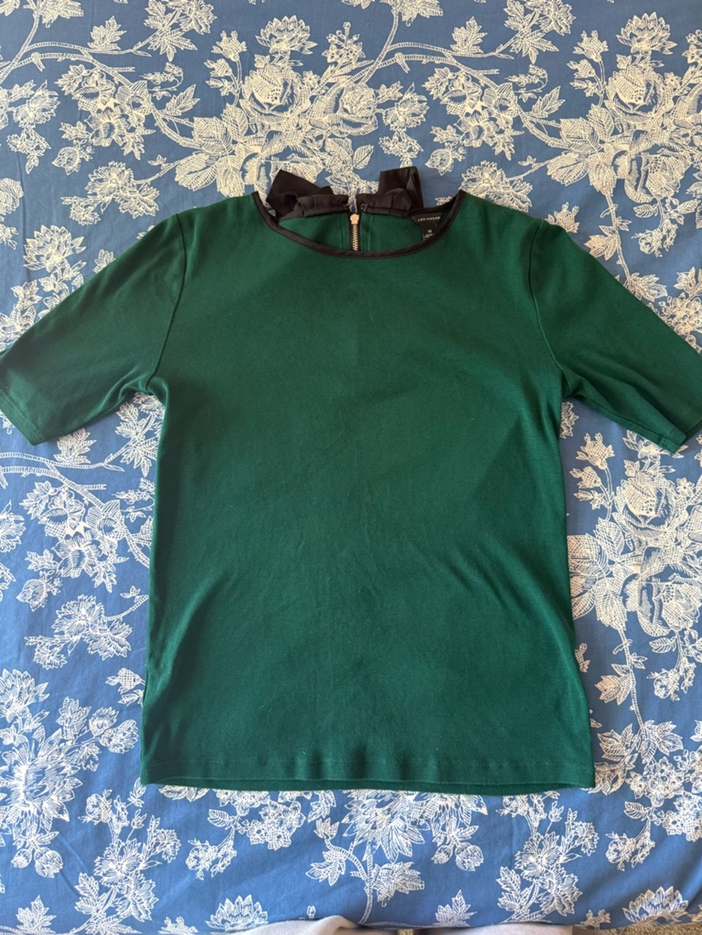 Ann Taylor Green Top with Brown Trim